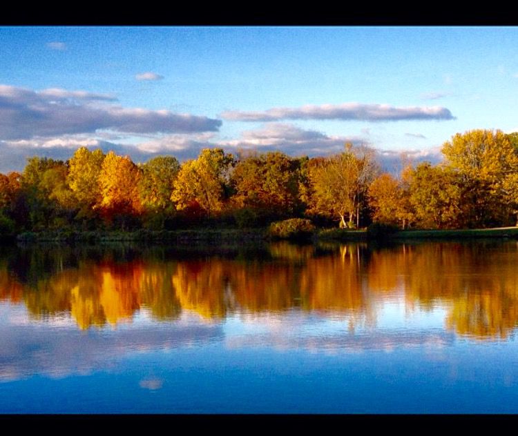 Fall Reflections